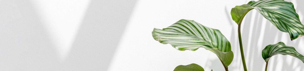 Myanmar Slots Review